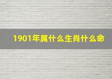 1901年属什么生肖什么命