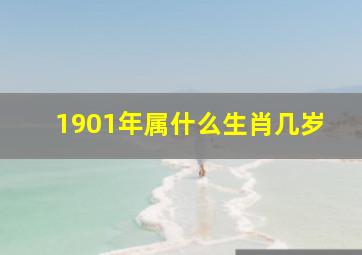 1901年属什么生肖几岁