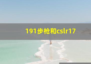 191步枪和cslr17