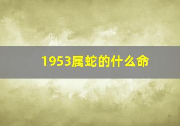 1953属蛇的什么命