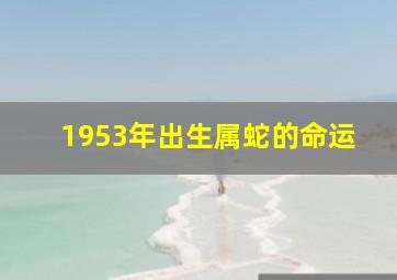 1953年出生属蛇的命运