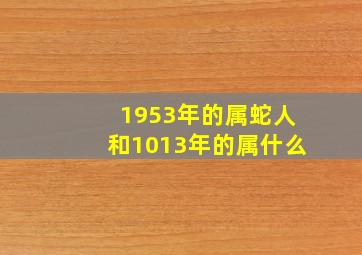 1953年的属蛇人和1013年的属什么