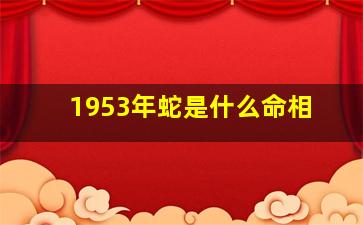 1953年蛇是什么命相