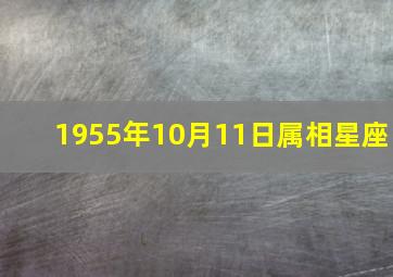 1955年10月11日属相星座