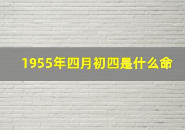 1955年四月初四是什么命