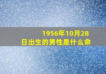 1956年10月28日出生的男性是什么命