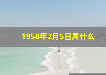 1958年2月5日属什么