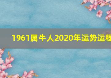 1961属牛人2020年运势运程