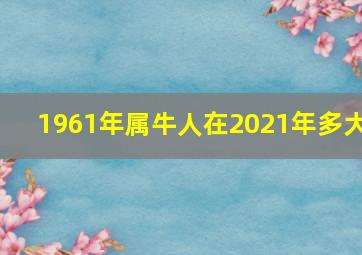 1961年属牛人在2021年多大