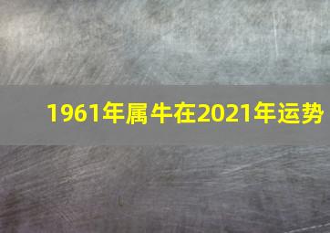 1961年属牛在2021年运势