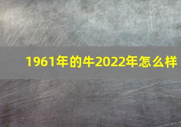 1961年的牛2022年怎么样