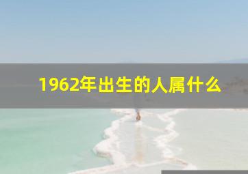 1962年出生的人属什么