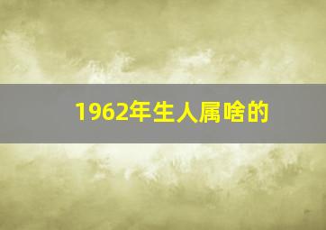 1962年生人属啥的