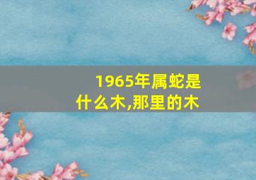 1965年属蛇是什么木,那里的木