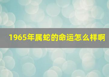 1965年属蛇的命运怎么样啊