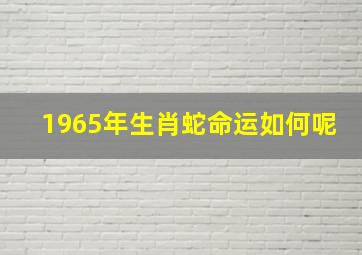 1965年生肖蛇命运如何呢