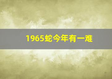 1965蛇今年有一难