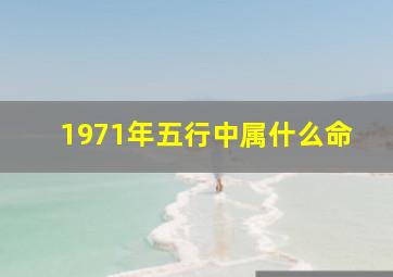 1971年五行中属什么命