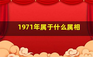 1971年属于什么属相