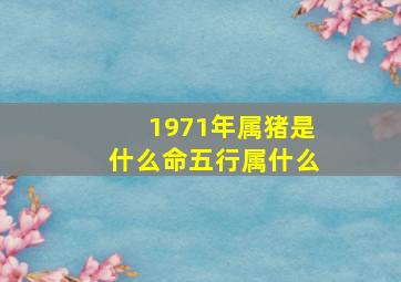 1971年属猪是什么命五行属什么