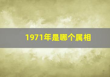 1971年是哪个属相