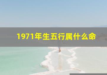 1971年生五行属什么命