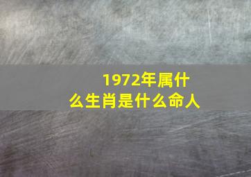 1972年属什么生肖是什么命人