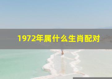 1972年属什么生肖配对