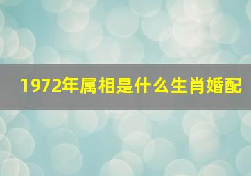 1972年属相是什么生肖婚配