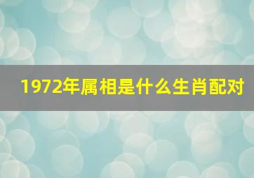 1972年属相是什么生肖配对