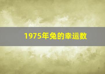 1975年兔的幸运数