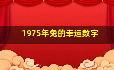 1975年兔的幸运数字