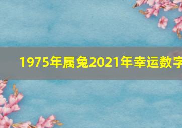 1975年属兔2021年幸运数字