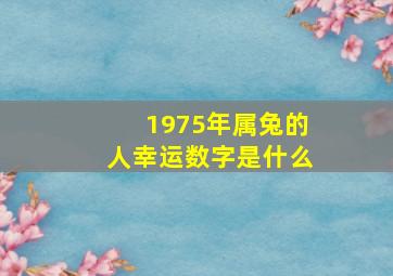 1975年属兔的人幸运数字是什么