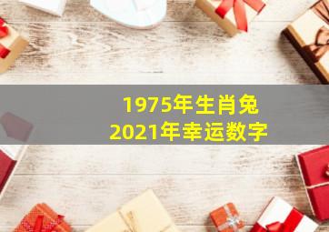 1975年生肖兔2021年幸运数字