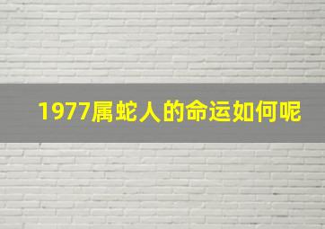 1977属蛇人的命运如何呢