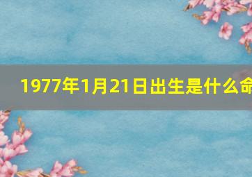 1977年1月21日出生是什么命