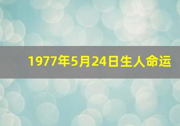 1977年5月24日生人命运