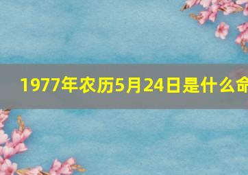 1977年农历5月24日是什么命