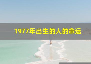 1977年出生的人的命运