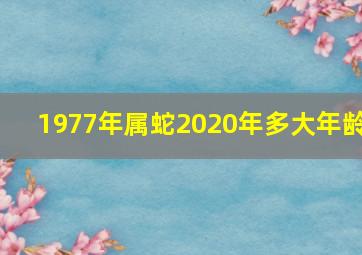 1977年属蛇2020年多大年龄