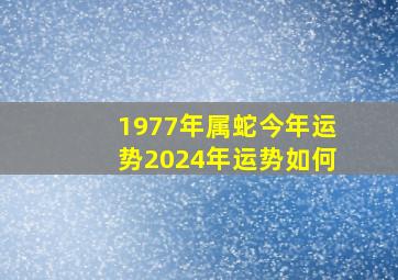 1977年属蛇今年运势2024年运势如何