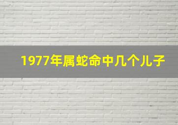 1977年属蛇命中几个儿子