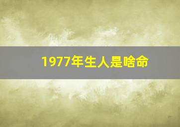 1977年生人是啥命