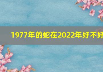 1977年的蛇在2022年好不好