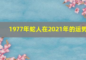 1977年蛇人在2021年的运势