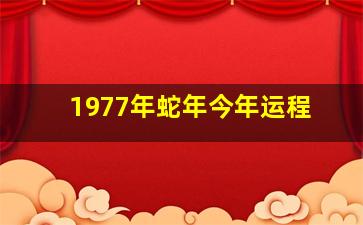 1977年蛇年今年运程