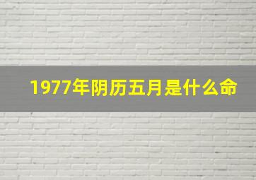 1977年阴历五月是什么命