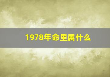 1978年命里属什么