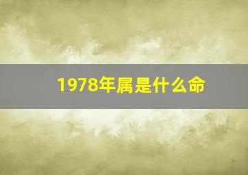 1978年属是什么命